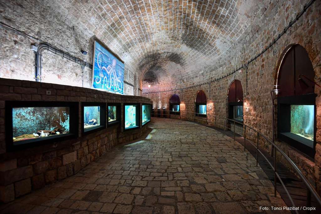 sea and more landgang aquarium dubrovnik