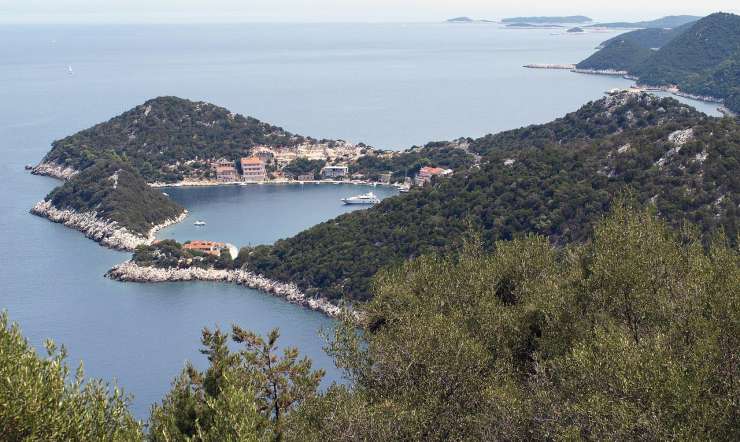 Törn-Tipp: Music Festival Insel Lastovo