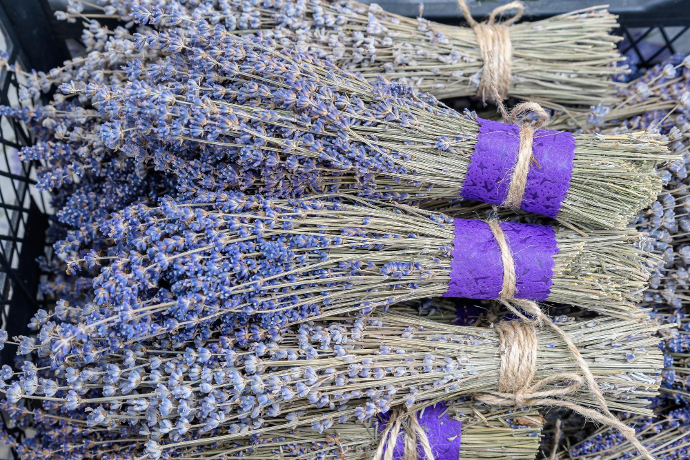 Lavender Festival HVAR